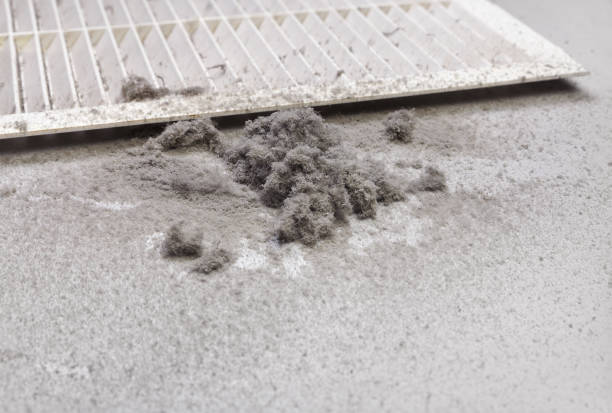 Best HVAC System Cleaning  in Genoa, IL