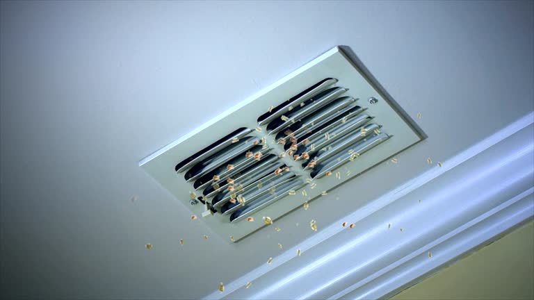 Best Home Air Vent Cleaning  in Genoa, IL