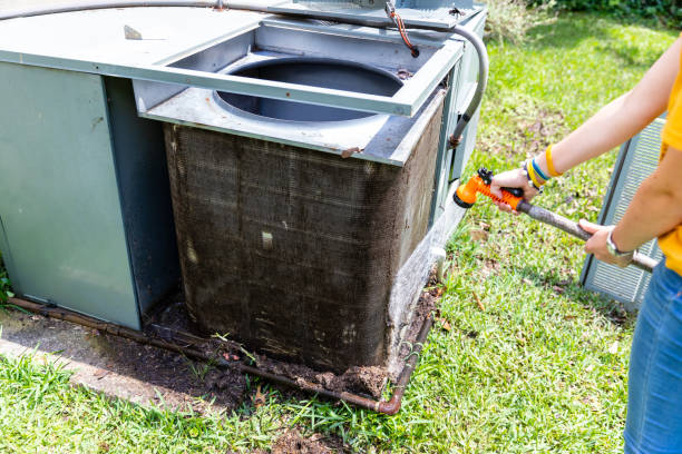 Best Affordable Air Duct Cleaning  in Genoa, IL